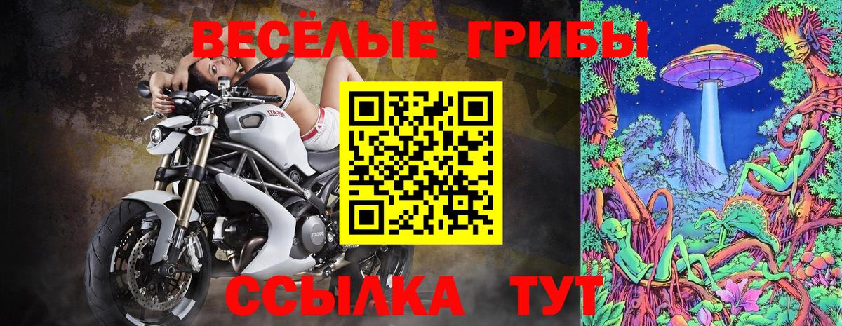 Псилоцибиновые грибы GOLDEN TEACHER Когалым